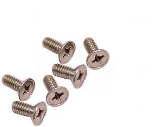 Door Latch Screws